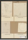 Actinocyclus confluens Grun. (de-Toni-Nr.: Genus 195, Species 4771) Zeichnungen Sammlung Grunow Nr. 8406 (NHMW-BOT-W0377846)